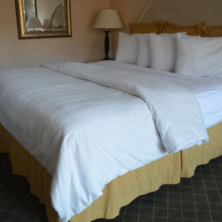 Chapel Hill University Inn Extérieur photo