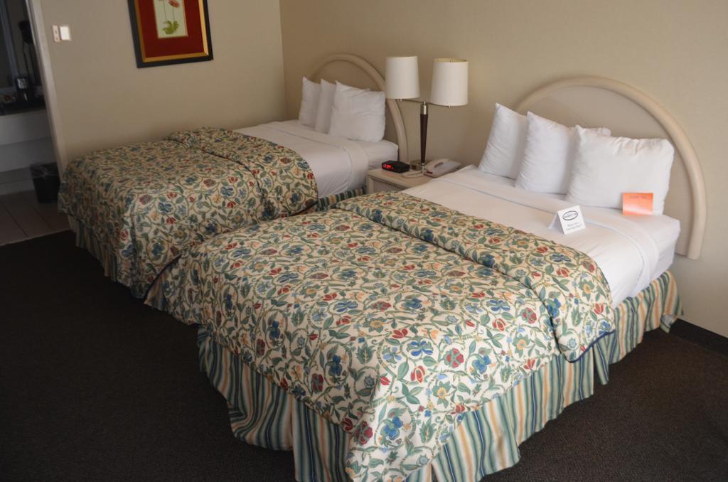 Chapel Hill University Inn Extérieur photo