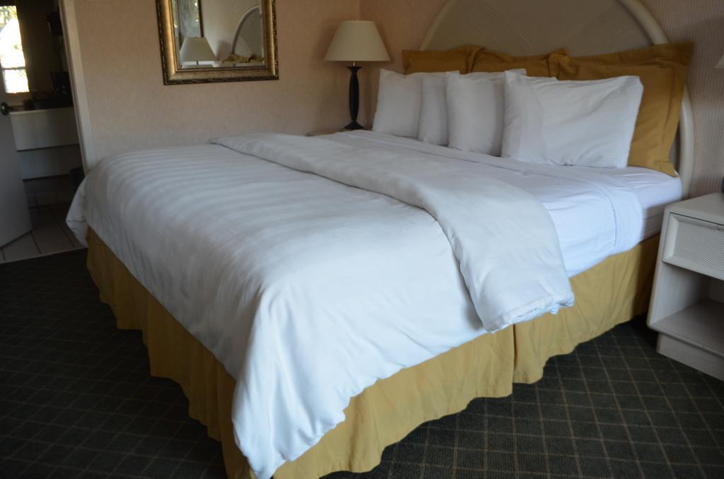 Chapel Hill University Inn Extérieur photo