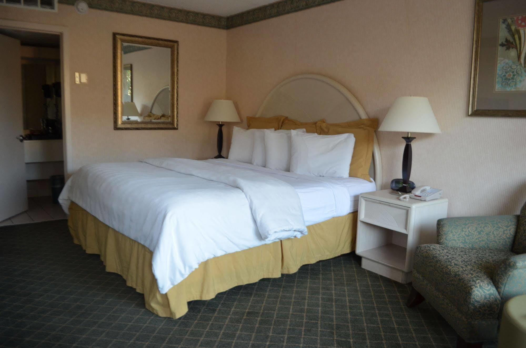 Chapel Hill University Inn Extérieur photo
